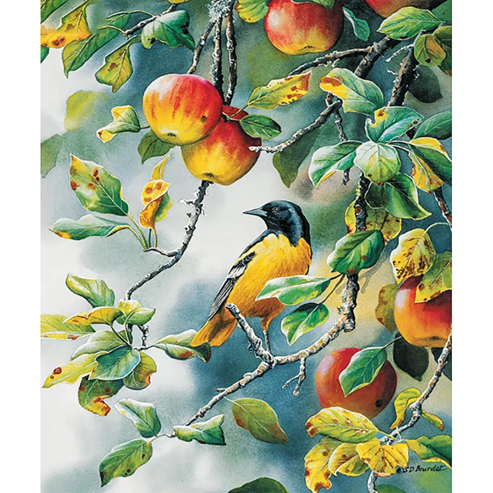 Полный набор алмазных картин сделай сам для яблони и птиц вышивка крестиком