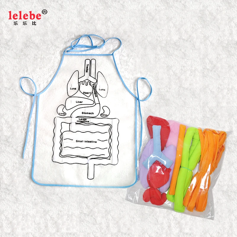 

lelebe Intellectual Development Toys wholesale manufacturer plush human organs Preschool education aids