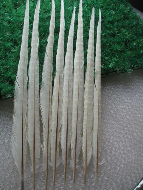 white 50 шт./лот, красивое перо фазана, 20-22 дюйма/50-55 см, различные цвета, можно выбрать - Цвет: white