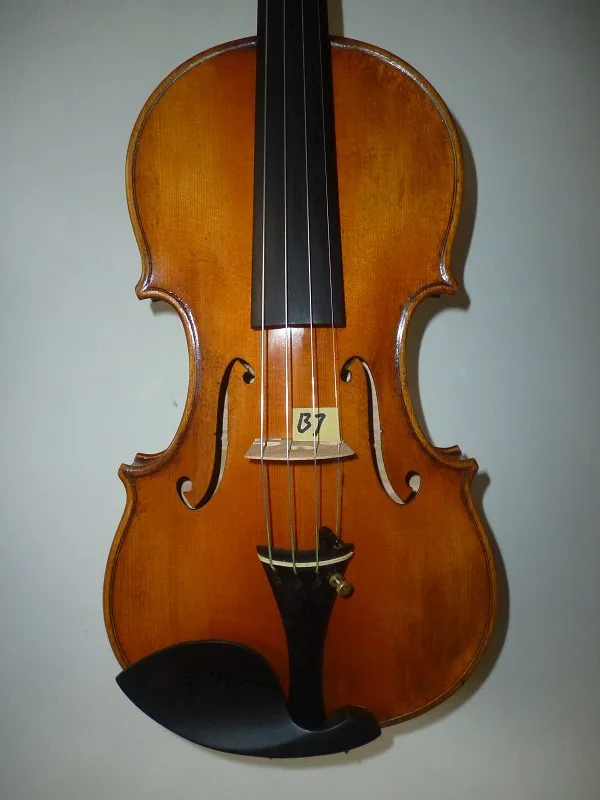 Master 4/4 оформление скрипки копия искусственной кожи 1742 1 шт. сзади No. B7 | Спорт и