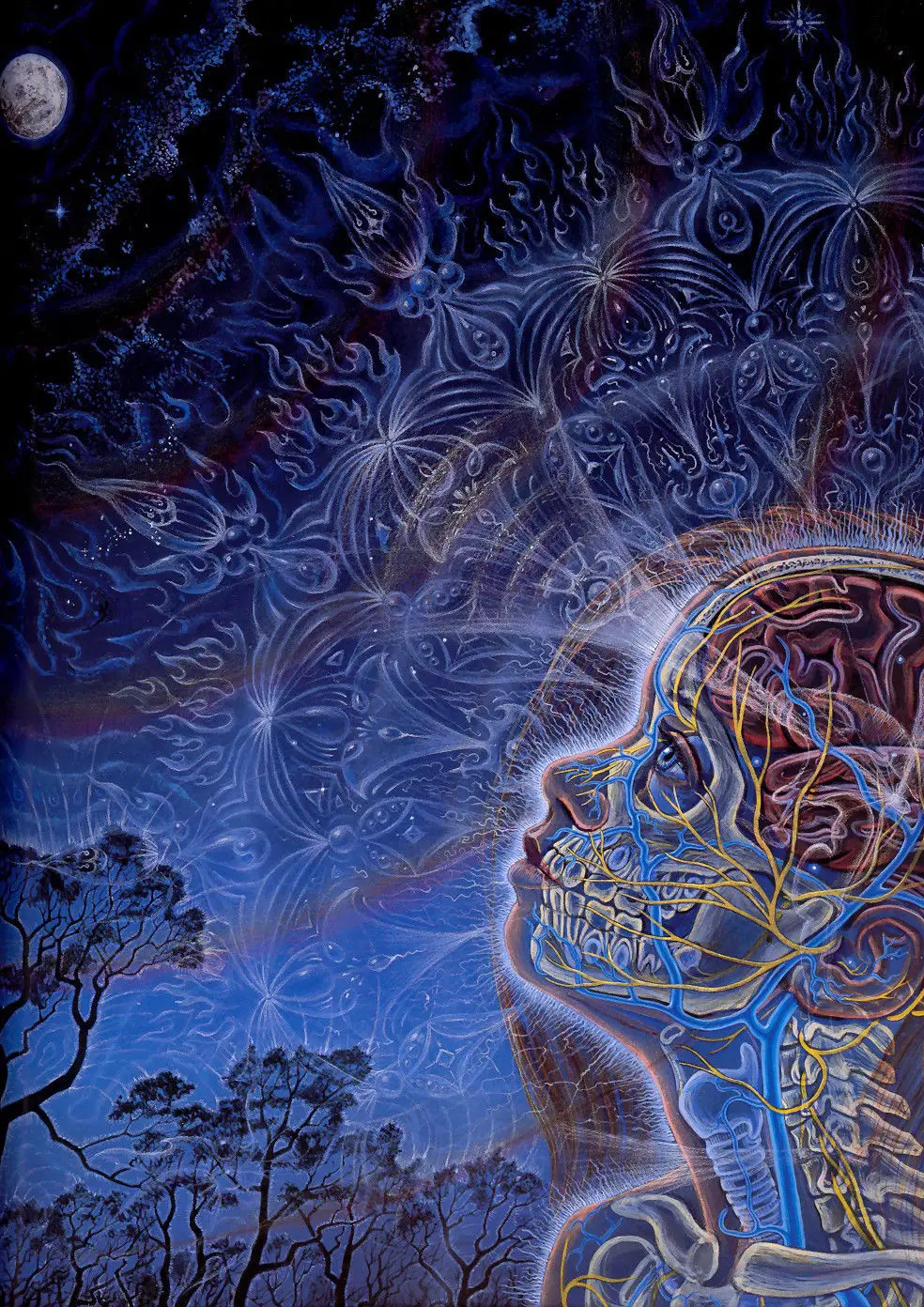 

Moon Alex Grey Psychedelic Trippy SILK POSTER Decorative painting 24x36inch