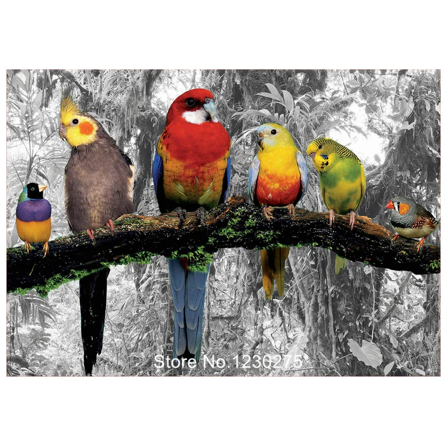 

mosaic full embroidery parrot animals 5d diy diamond painting birds rhinestone embroidery square/round drill wall decor JX256
