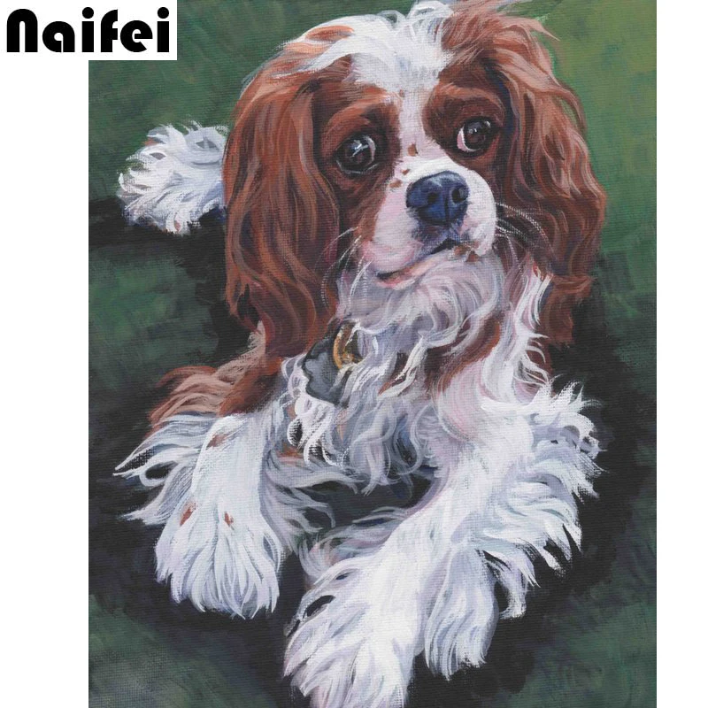 Алмазная 5D картина Собака из страз кавалер Кинг Чарльз спаниель стразы вышивка