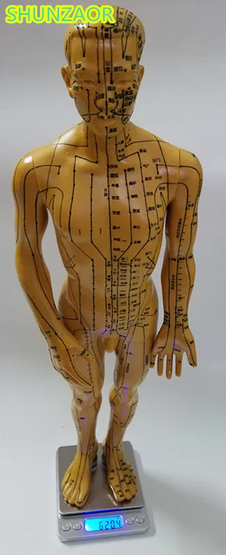 SHUNZAOR меридиановая модель человека для акупунктуры человеческого тела 50 см