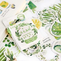 46pcslot mint summer forest mini paper sticker decoration diy ablum diary scrapbooking label sticker