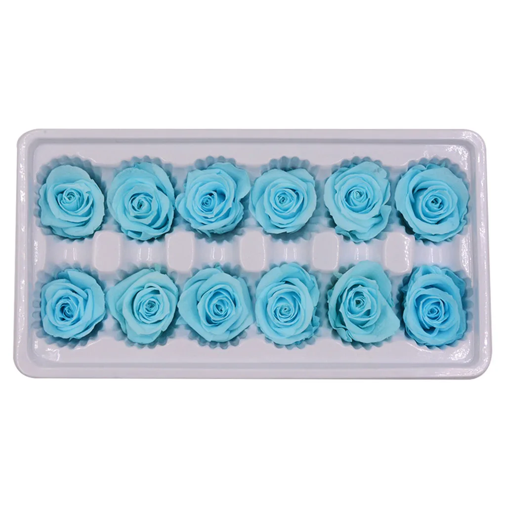 H 12pcs 12 шт./24 шт./кор. "Законсервированные" Цветы бессмертный роза 3-4 см является допустимой измерений в пределах 2-3 см Диаметр на День святого Валентина, подарок ко Дню вечная жизнь цветок Материал подарочная коробка - Цвет: H 12pcs