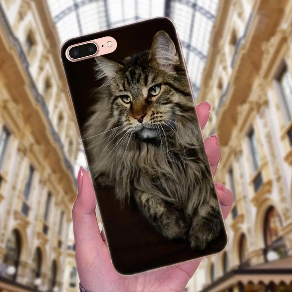 Чехол из ТПУ для Apple iPhone X XS Max XR 4 4S 5 5C 5S SE 6 6S 7 8 Plus | Мобильные телефоны и аксессуары