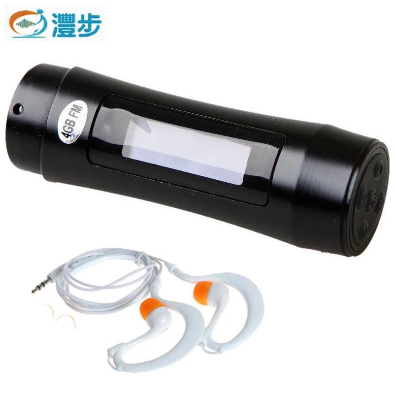 Waterproof IPX8 Headphones 8GB Mp3 Player Sport Mp 3 For Swimming Surf Scuba Diving FM Radio 4GB Earphone | Электроника