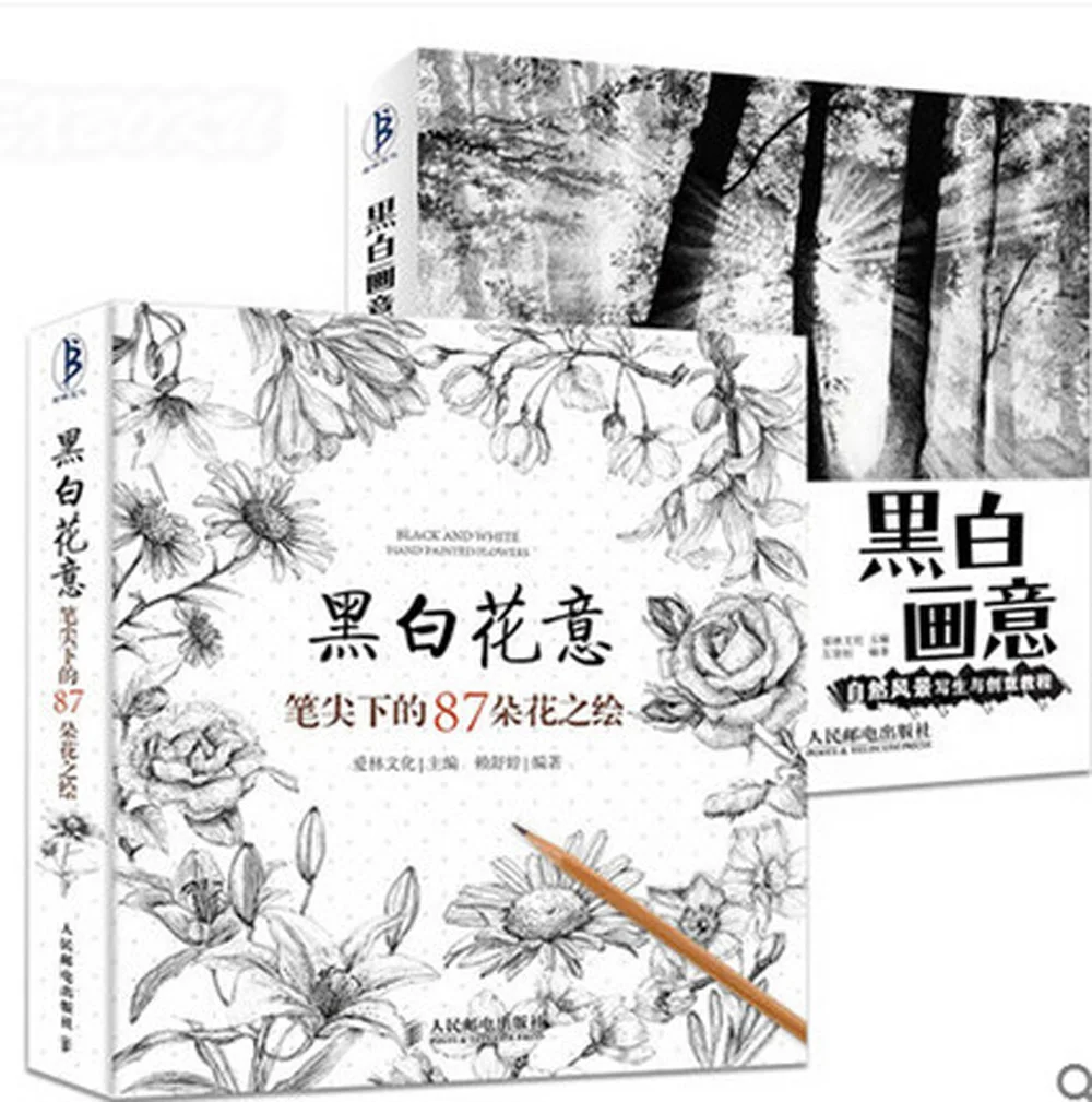 Набор из 2 книг для рисования скетчей и карандашей|art book|art coloring booksdrawing art book |