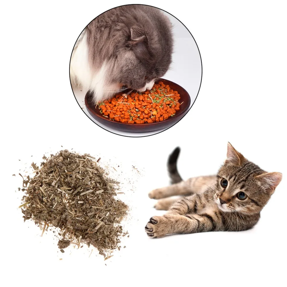 Кошачий кошачий порошок мятный натуральный котенок забота о здоровье