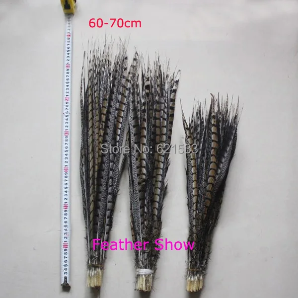 

Lady Amherst pheasant tail feather,great for home decor, costumes,headdresses,weddings and event decor,60-70cm,30pcs per lot