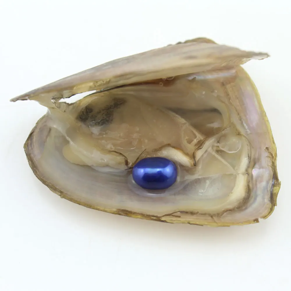 Новинка! овальная жемчужина из натурального жемчуга Oyster 100 шт./лот 7-8 мм