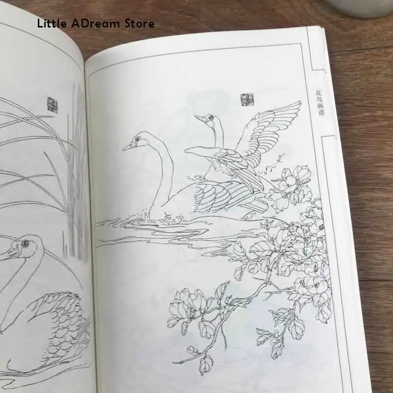 Chinese Line Drawing Flower and Bird Painting Spectrum Book / Traditional Gong Bi Bai Miao Art Textbook |