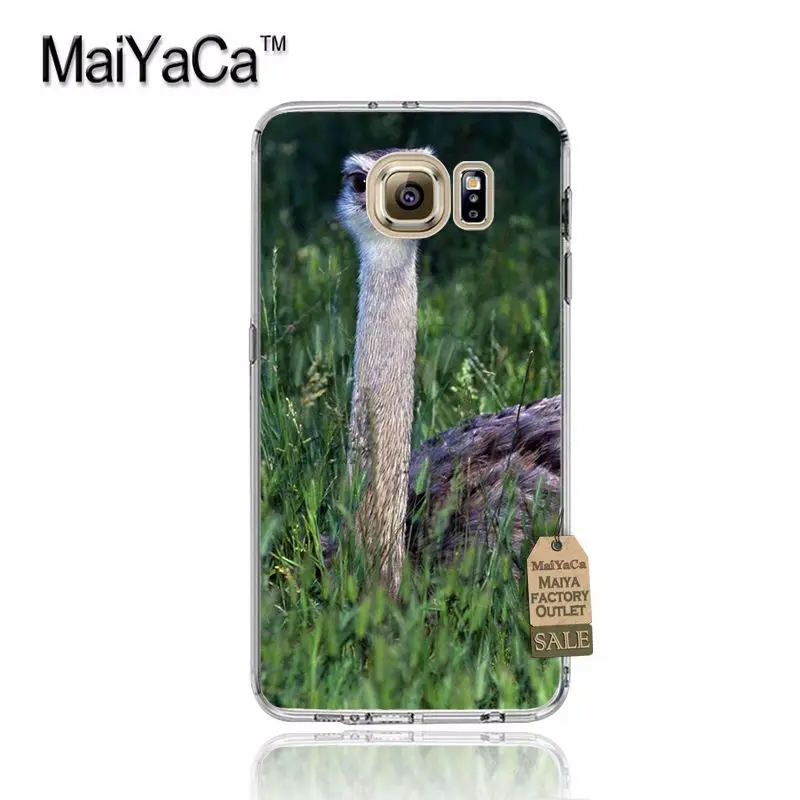 MaiYaCa Страусиная Птица Животные на продажу! Роскошный классный чехол для телефона