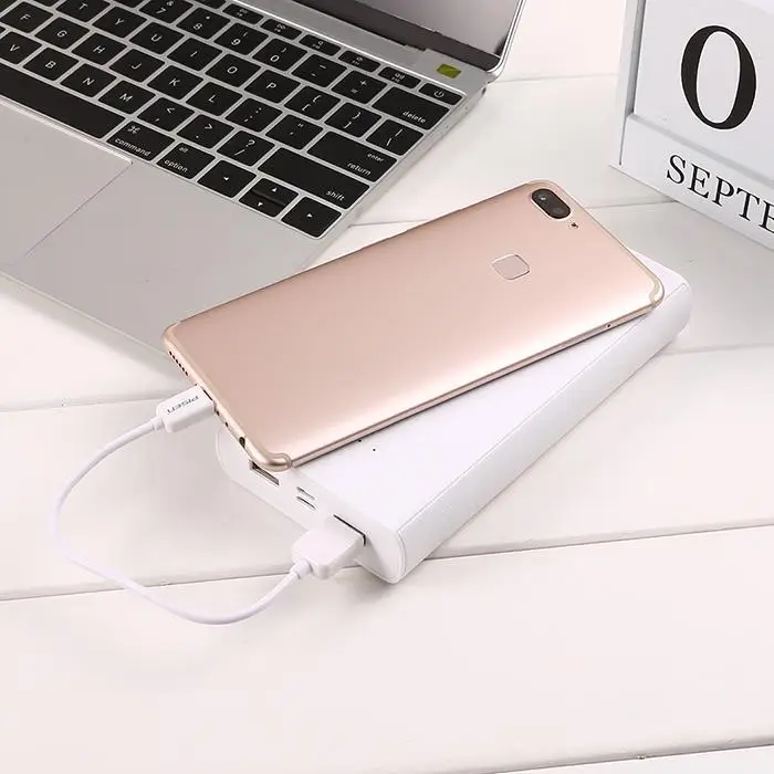 PISEN внешний аккумулятор 20000 мАч двойной USB портативный для мобильных