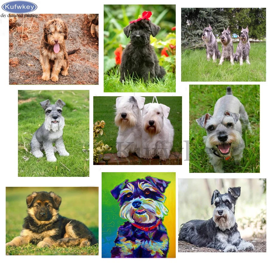 5D DIY Diamond Painting schnauzer Dog Diamond Embroidery Picture of Rhinestone painting mosaic pattern Modern Home Decoration