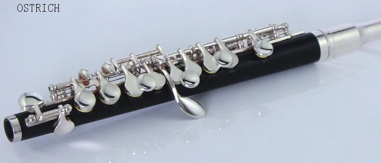 

ABS body piccolo with gold plated keys and gold plated headjoint