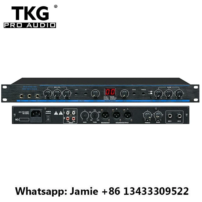 Звуковая система TKG DSP 100 звуковой процессор профессиональный цифровой