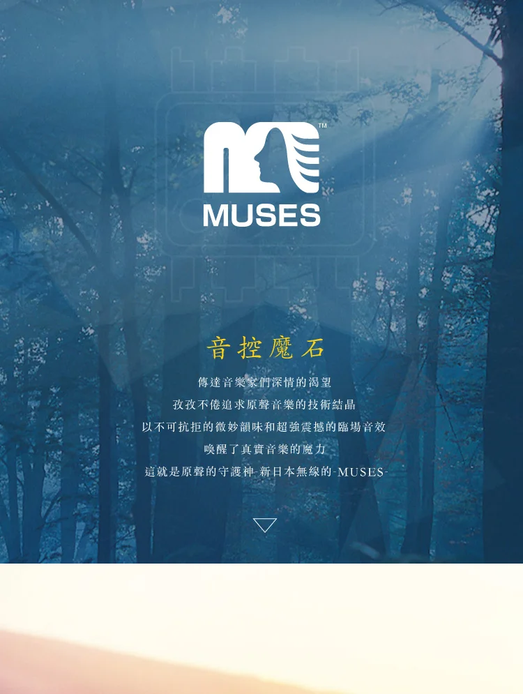 WEILIANG AUDIO MUSES 01 MUSES 02 ultimate dual op-amp