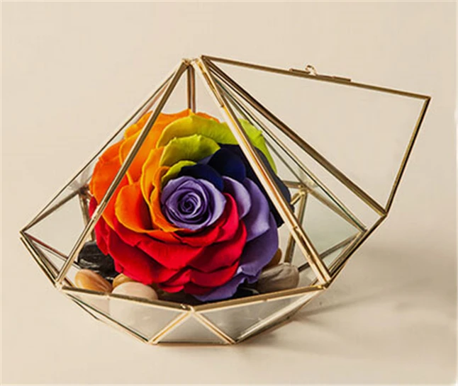 Минимализм в форме алмаза подвесной стеклянный террариум местные тираны золото