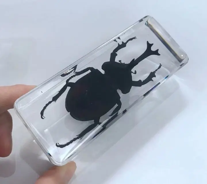 Модные ювелирные изделия большой черный образец искусственные книги