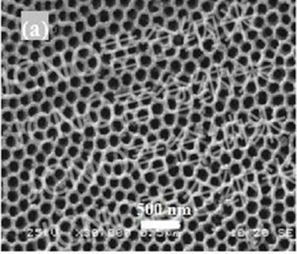 Углеродная ткань нанотрубка углерода/диоксид титана|Фланцы| |