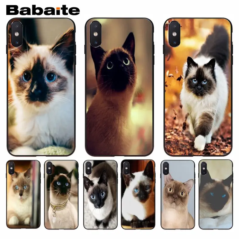 Babaite сиамская кошка красивый чехол для телефона iphone 8 8plus и 7 7plus 6s Plus 6 плюс 5s