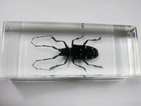 Творческий NO 7 Стильная обувь образец книги инструмент подарок для украшения