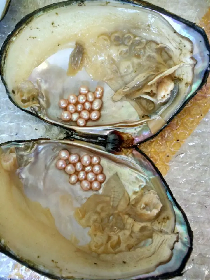 Monster Pearls Natural Freshwater Big Oysters Bulk 5pcs Vacuum Packed Beads Wish Pearl Oyster Shell BM006 | Украшения и