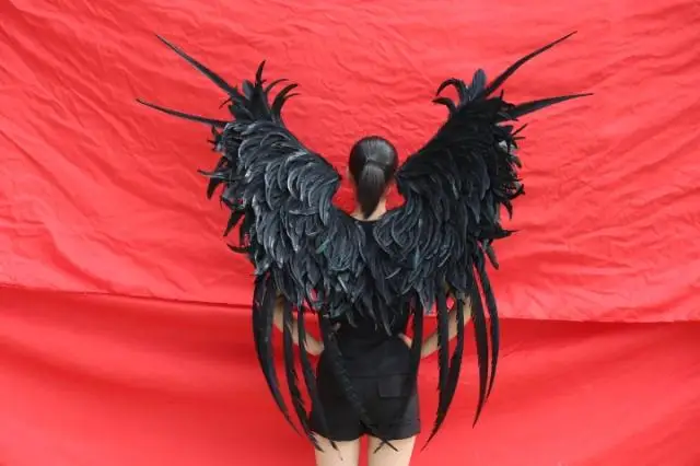 Новинка! Индивидуальные Популярные черные крылья ангела перо дисплей для