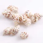 40 шт., бусины из ракушек, 24-45 мм
