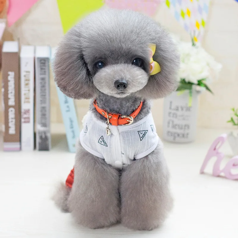 2018 новая одежда для домашних животных котов котенок рубашка без рукавов и штаны