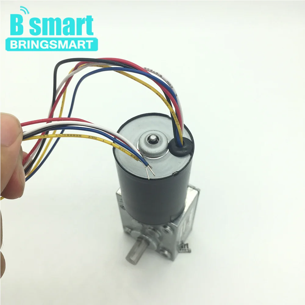 Bringsmart 5840-3650 DC мотор-редуктор 12V червь Шестерни мотор 24 бесщеточный электродвигатель постоянного тока с двойным валом мини Шестерни коробка с встроенной функцией спуска затвора тормоз двигателя