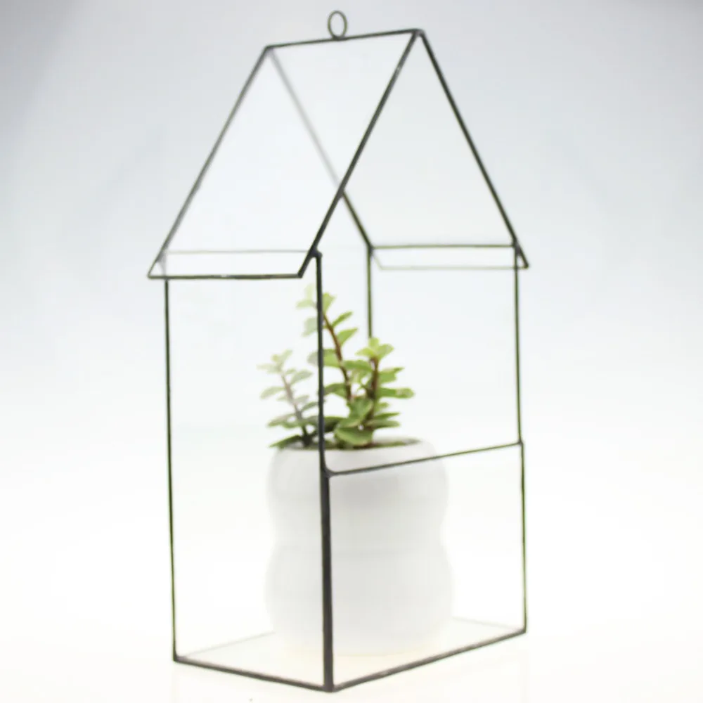 Бонсай бесплатная доставка 25 см Высота крыша прозрачный стеклянный