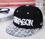 5 pcs/lot New arrival 4 colors BSX GD same paragraph snakeskin Baseball cap Hip hop hat Flat along the with free shipping|hat skull cap|hat holderhat