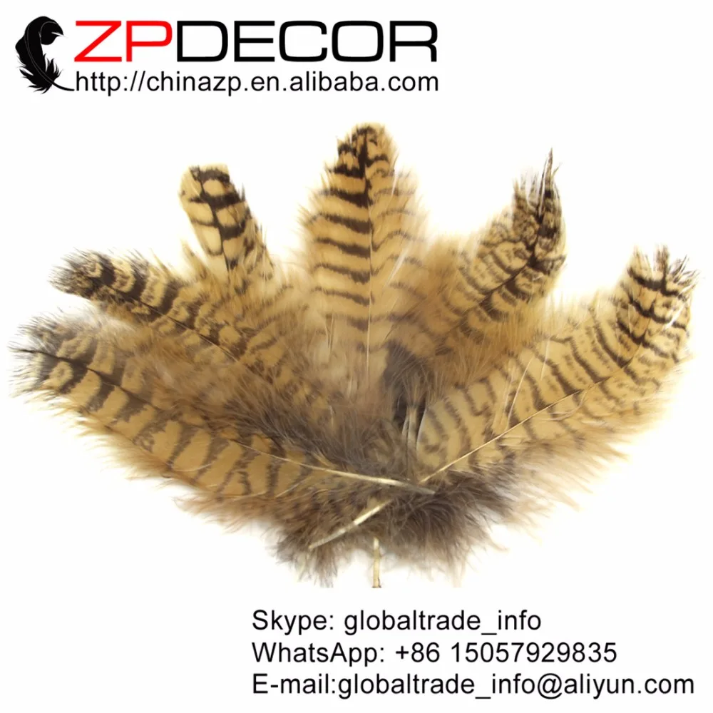 

ZPDECOR 10-15cm 4-6inch 100pieces/lot Natural Beautiful Owl Eagle Feathers for Art Design