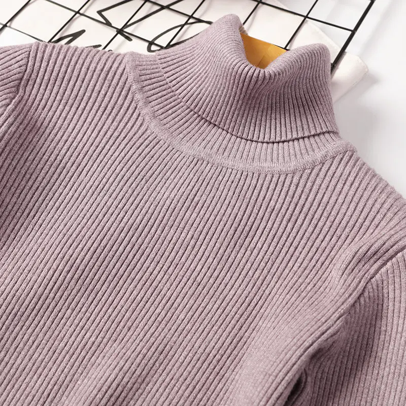 

Turtleneck Sweater Women Thick Warm Autumn Winter Knitted Femme Slim Pull High Elasticity Soft Female Pullovers Sweater Jumper