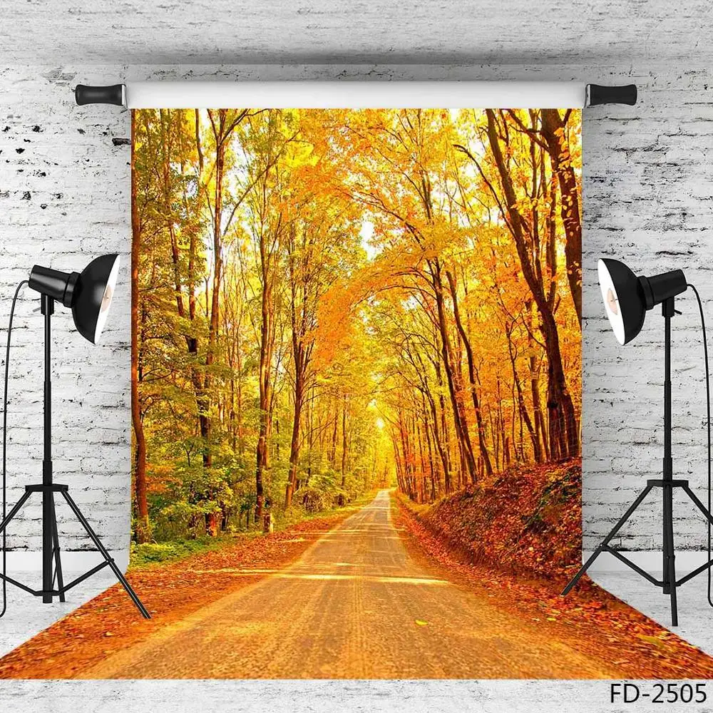 Желтые деревья тропинка фотографические фоны виниловая ткань фото съемки для