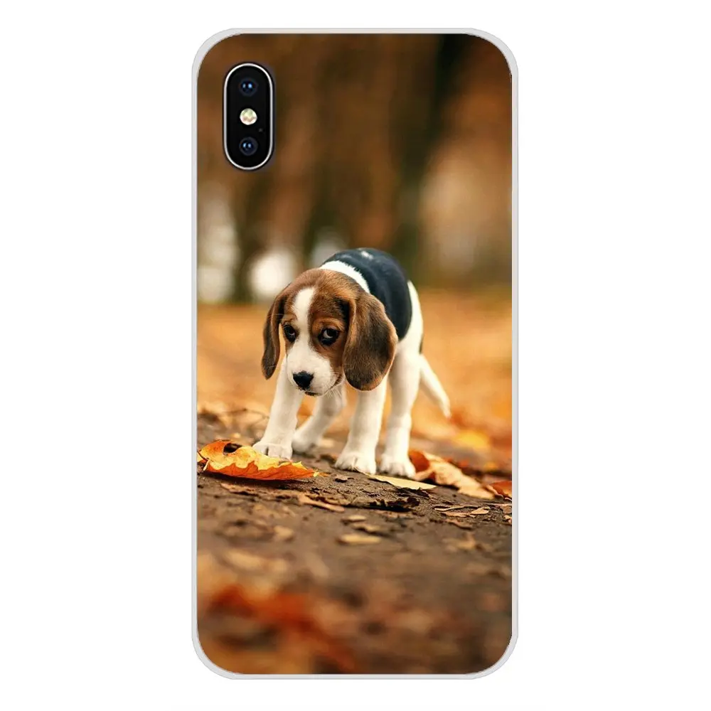 Все виды постов beagle для Apple iPhone X XR XS MAX 4 4S 5 5S 5C SE 6 6S 7 8 Plus ipod touch TPU Прозрачный чехол |