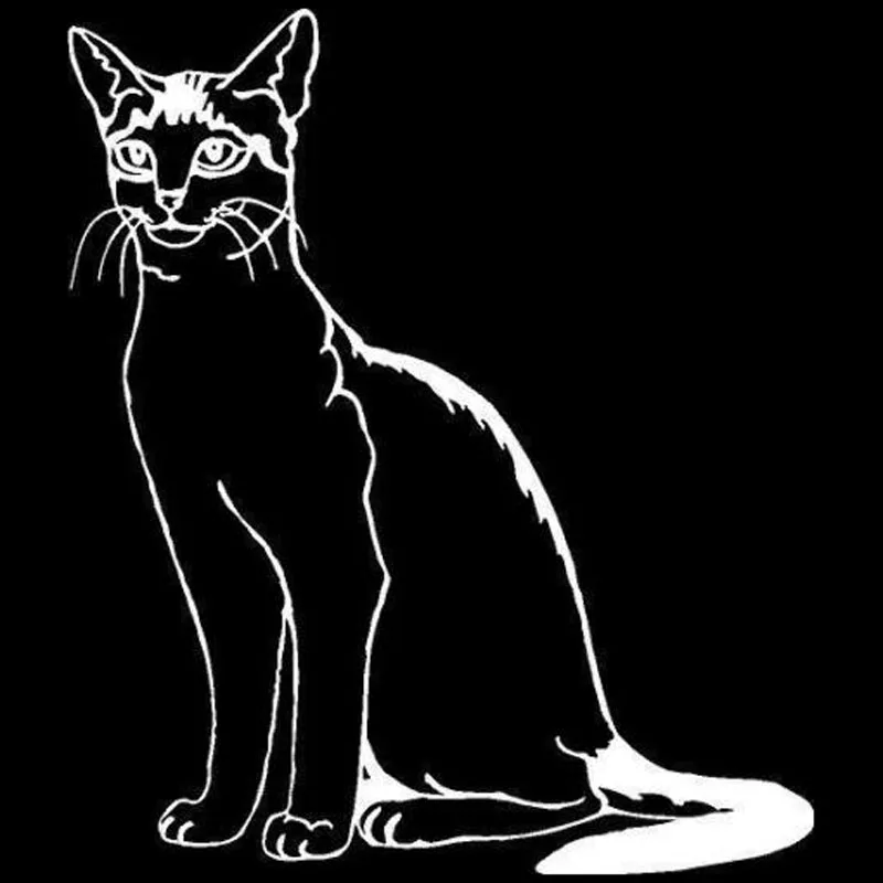

12,2*14,1 Abyssinian Cat C4-0623