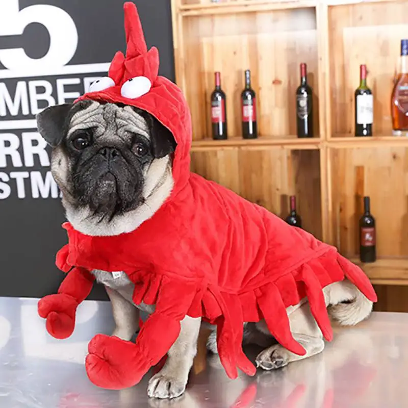 Interesting Cosplay Costume Dog Cat Clothes Puppy Lobster Shape Funny Performance Shrimp Design Coat For Party | Дом и сад