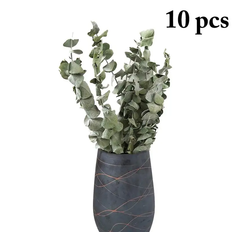 

10pcs 1 Bunch Plant Branches Fashion Decorative Dried Eucalyptus Leaves Leaf Branches for Home Wedding Decoration indoor