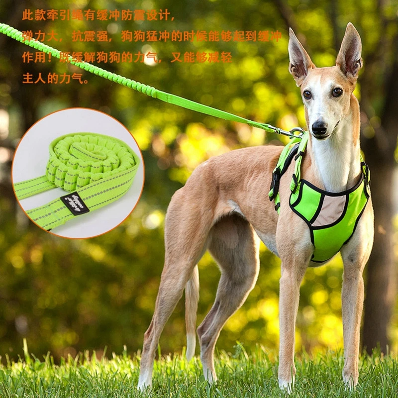 Поводок для собак и кошек Pet Lead Leash красного, зеленого или синего цвета из нейлона, подходит для прогулок, безопасности на улице и дрессировки, размер выбирается.