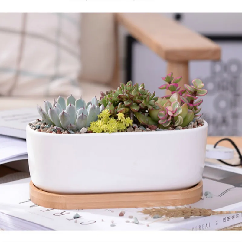 Minimalist White Ceramic Succulent Plant Pot Porcelain Planter Decorative Desktop Flower Home Decor Creative Flowerpot | Дом и сад