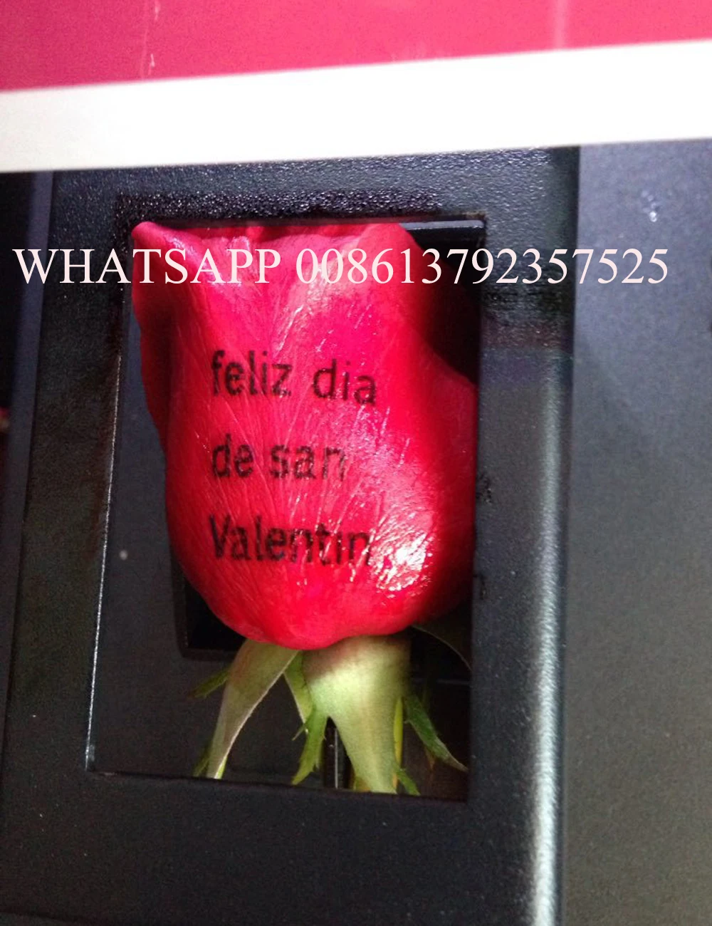 Бесплатная доставка новинка 2020 горячая распродажа принтер для ногтей Real Nails