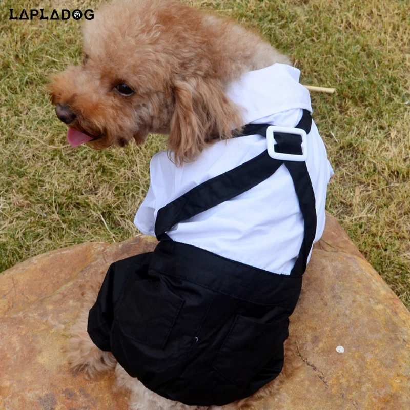 LAPLADOG милый западный стиль женская одежда для маленьких собак щенков комбинезон
