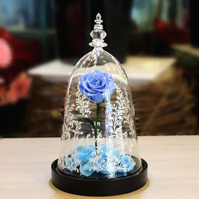 

Fresh Preserved Rose Flower Beauty and the Beast Rose with Fallen Petals in a Glass Dome for Valentine's Gifts Led Light