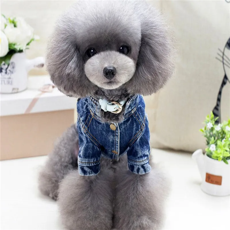 Bigeyedog собачья одежда для маленьких собак джинсовая куртка пальто Одежда питомцев