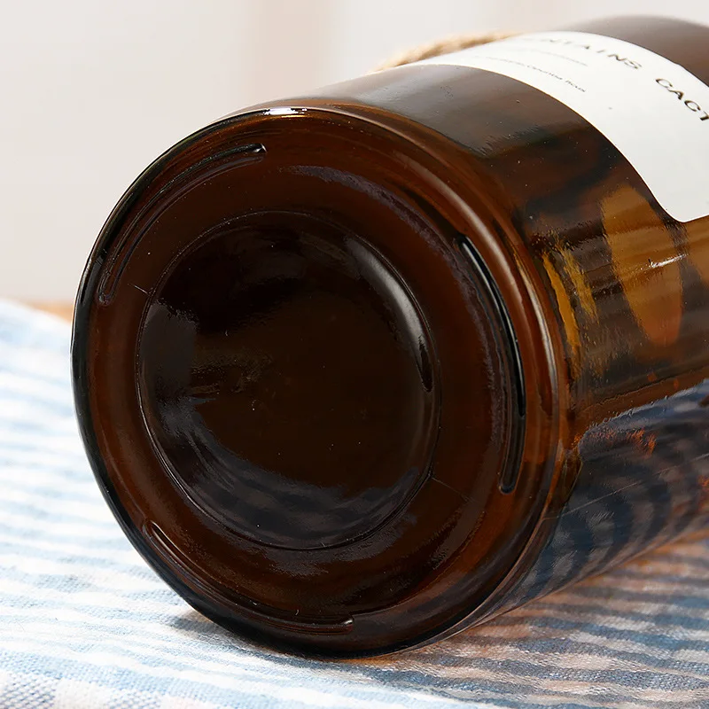 Европейская стеклянная ваза INS Прозрачное цветочное украшение креативное для