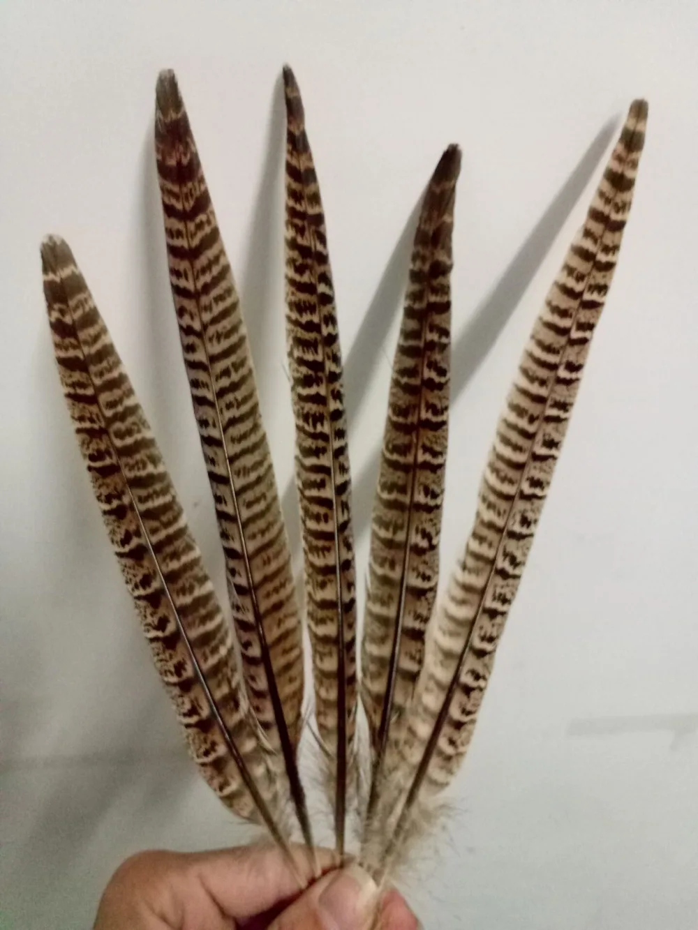 10 pieces of high quality natural pheasant feathers 25-30cm DIY handicrafts decorative accessories | Дом и сад